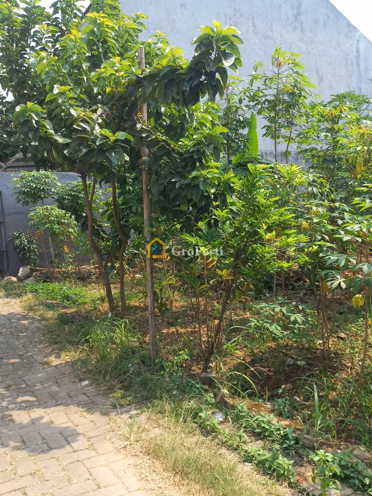 Dijual Sebidang Tanah Strategis di Belakang Kampus UI Depok  - 3