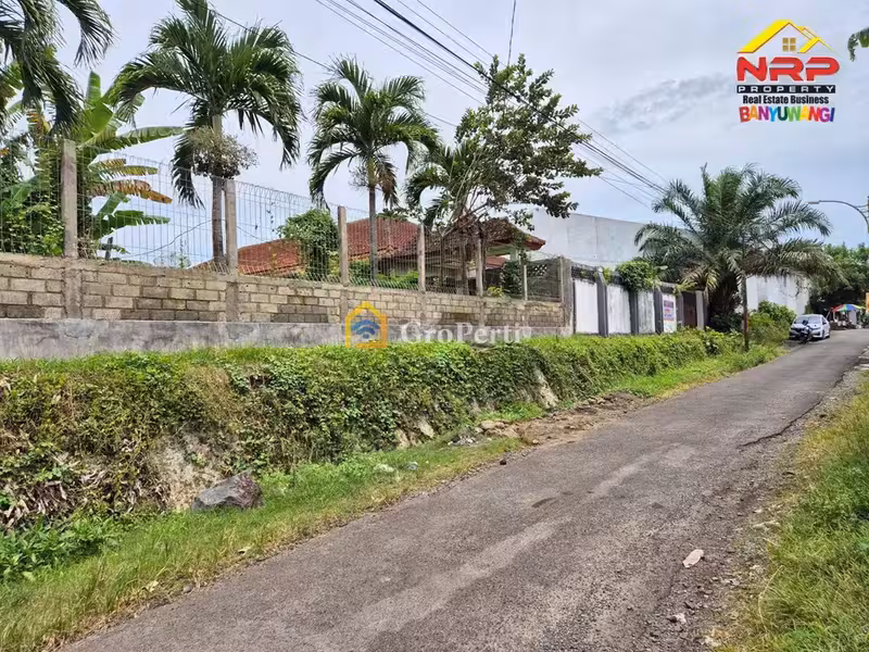 Dijual Tanah Luas 2.820 m² Bonus Rumah Dekat Politeknik Negeri Banyuwangi – Cocok Investasi Kost - 4
