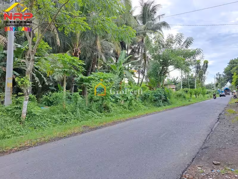 Dijual Tanah Luas 7.112 m² Dekat Jalan Provinsi Dadapan Banyuwangi Cocok untuk Perumahan & Investasi - 2