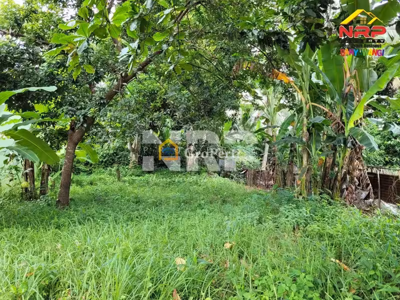 Dijual Tanah Siap Bangun di Kebalenan Banyuwangi - 4