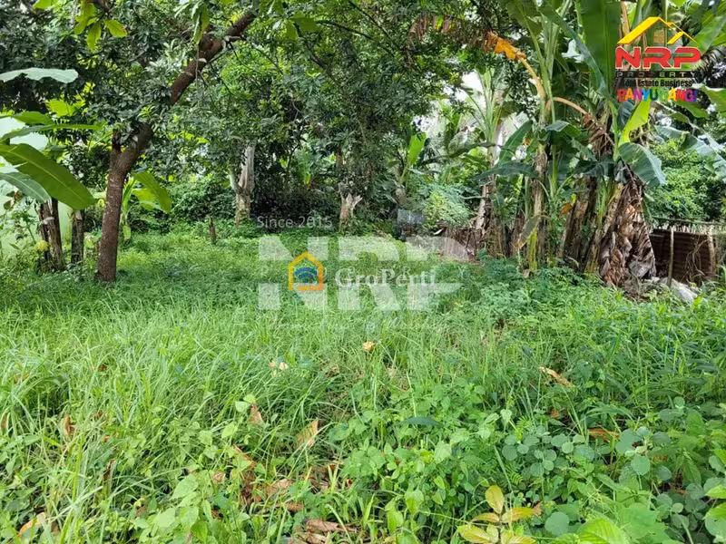 Dijual Tanah Siap Bangun di Kebalenan Banyuwangi - 5