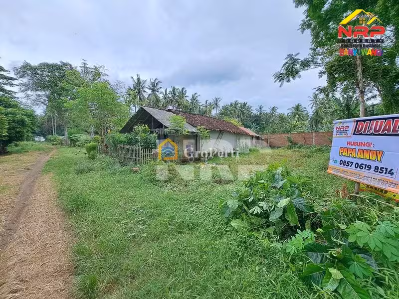 Dijual Tanah Kavling di kabupaten banyuwangi, Jawa Timur kedayunan kabat - 3