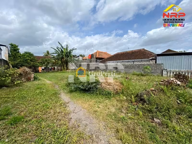 Dijual Tanah Strategis di Srono, Banyuwangi – Cocok Investasi & Bangun Hunian - 5