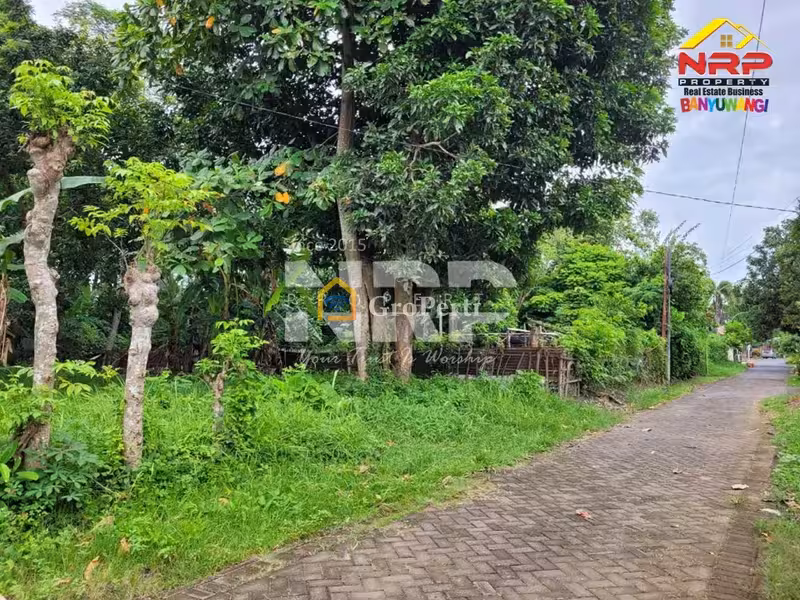 Dijual Tanah Siap Bangun di Kebalenan Banyuwangi - 3