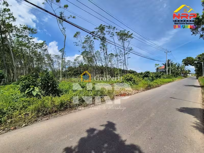 Tanah Murah Dijual 3 Hektar di Pakistaji Banyuwangi – SHM, Lokasi Strategis - 2