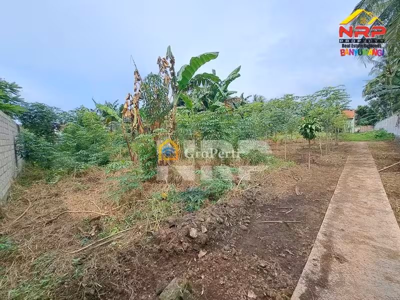 Dijual Tanah Kavling sHM di kabupaten banyuwangi, Jawa Timur - 3
