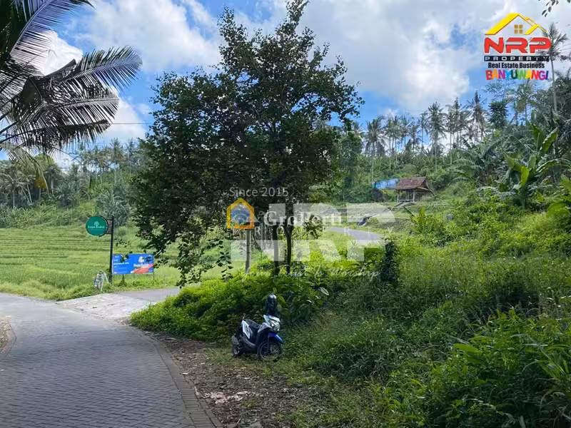 Investasi Tanah Strategis View Alam di Paspan Glagah Banyuwangi - 3