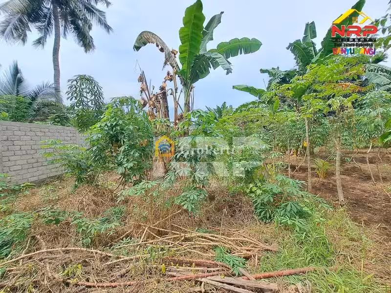 Dijual Tanah Kavling sHM di kabupaten banyuwangi, Jawa Timur - 4
