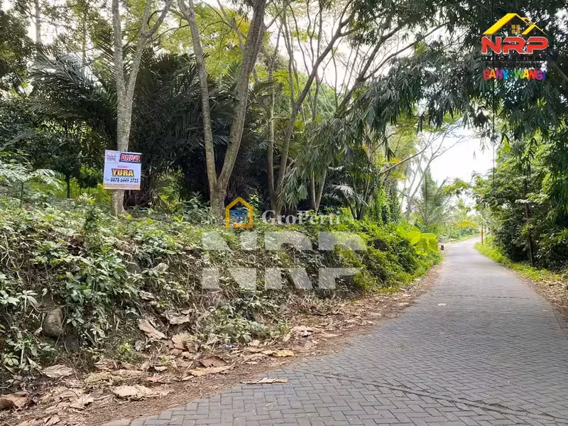 Investasi Tanah Strategis View Alam di Paspan Glagah Banyuwangi - 2