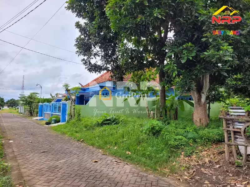 Dijual Tanah Siap Bangun di Kebalenan Banyuwangi - 2