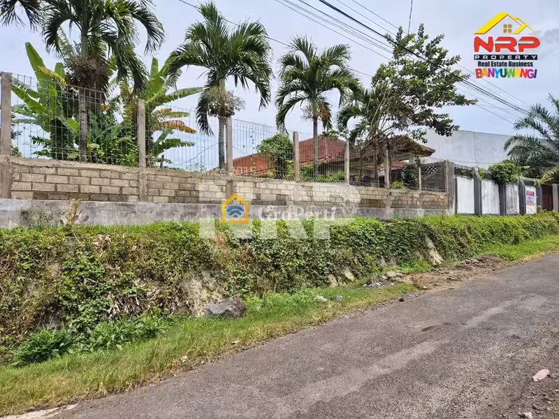 Dijual Tanah Luas 2.820 m² Bonus Rumah Dekat Politeknik Negeri Banyuwangi – Cocok Investasi Kost - 5