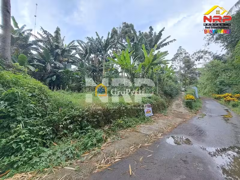 Dijual Tanah Murah 100 Jutaan di Kalirejo Dekat RS Fatimah Banyuwangi - 3