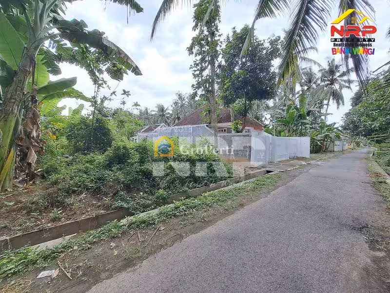 Dijual Tanah Kavling di kabupaten banyuwangi, Jawa Timur dadapan kabat - 2