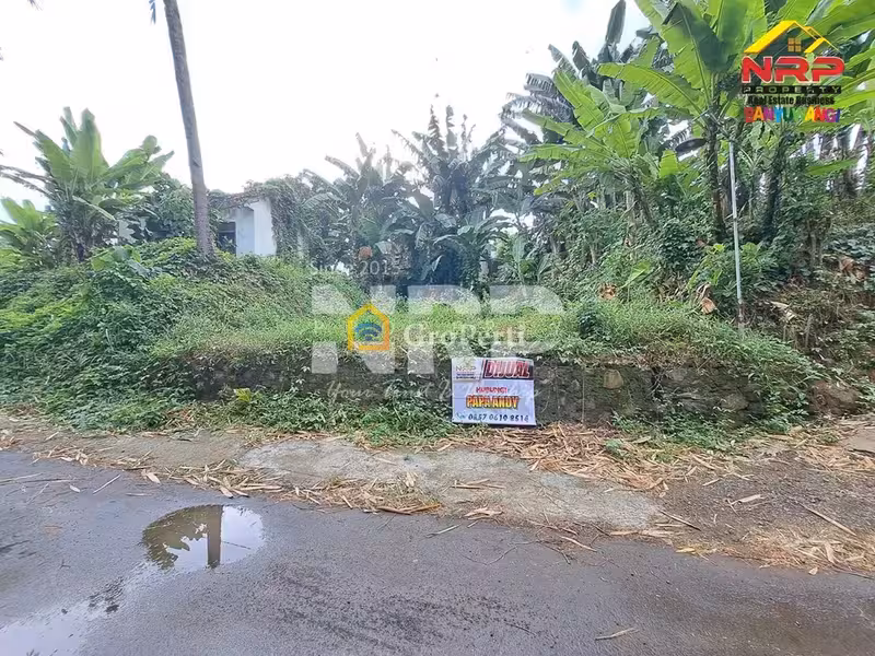 Dijual Tanah Murah 100 Jutaan di Kalirejo Dekat RS Fatimah Banyuwangi - 2