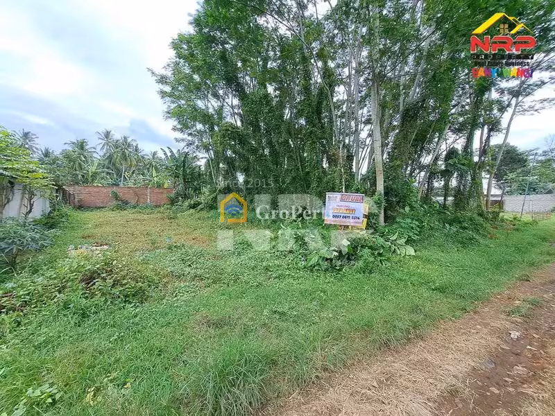 Dijual Tanah Kavling di kabupaten banyuwangi, Jawa Timur kedayunan kabat - 4