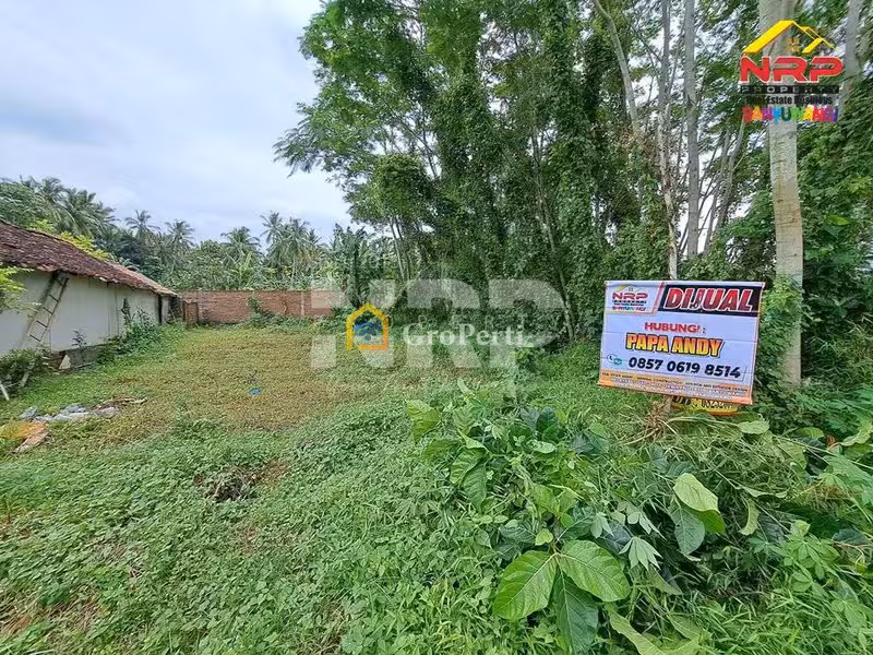 Dijual Tanah Kavling di kabupaten banyuwangi, Jawa Timur kedayunan kabat - 2