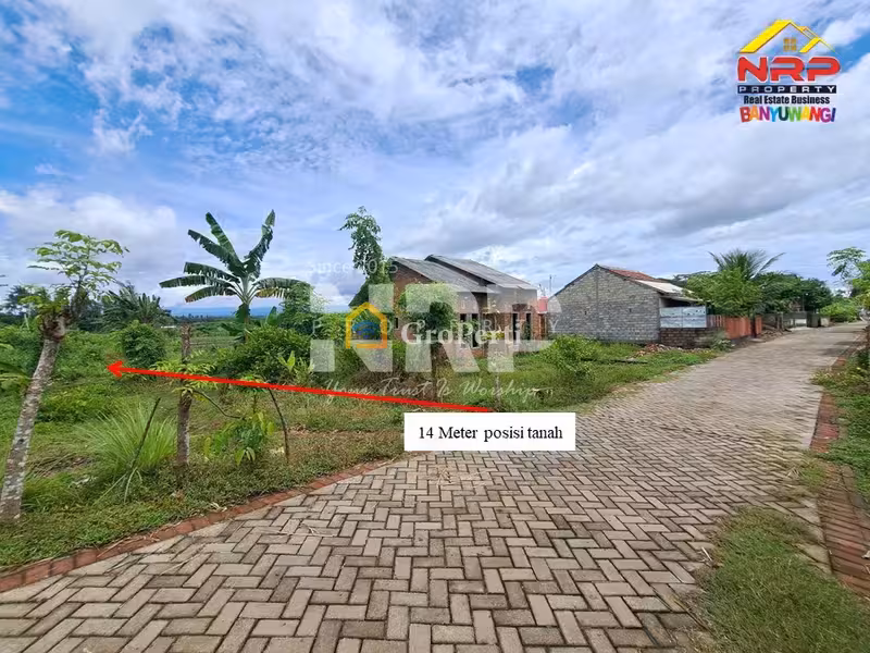 DIJUAL TANAH 1 HEKTAR DI KALIREJO BANYUWANGI - 2
