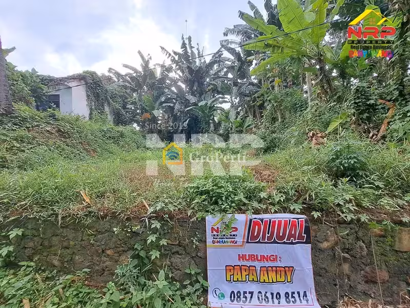 Dijual Tanah Murah 100 Jutaan di Kalirejo Dekat RS Fatimah Banyuwangi - 4