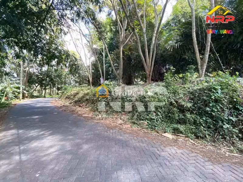 Investasi Tanah Strategis View Alam di Paspan Glagah Banyuwangi - 4