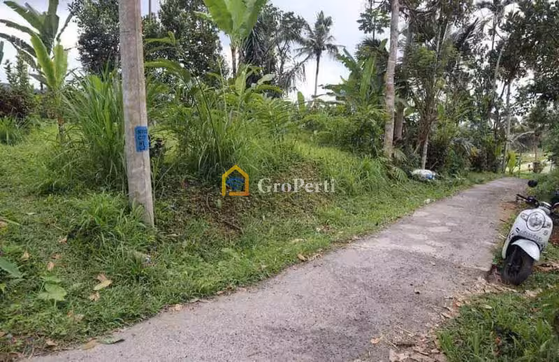 Investasi Tanah 50 Are Munduk Lumbang Baturiti Tabanan Hotspring Sungai - 2