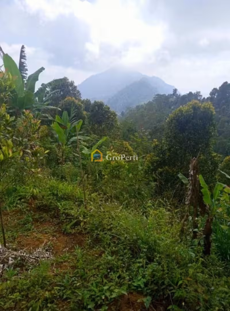 Lahan Strategis 6,5 Ha Dekat Turyapada Tower Bali Utara View Spektakuler - 4