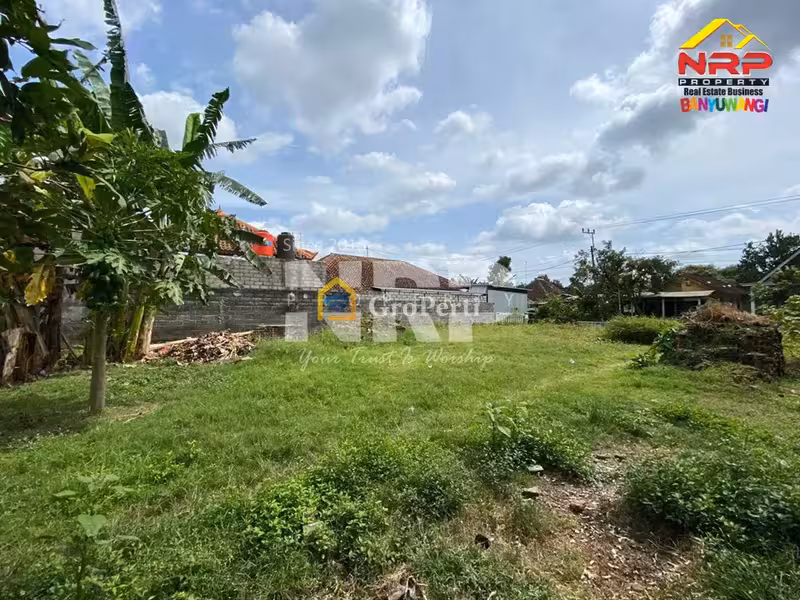 Dijual Tanah Siap Bangun di Srono - Banyuwangi Selatan - 5