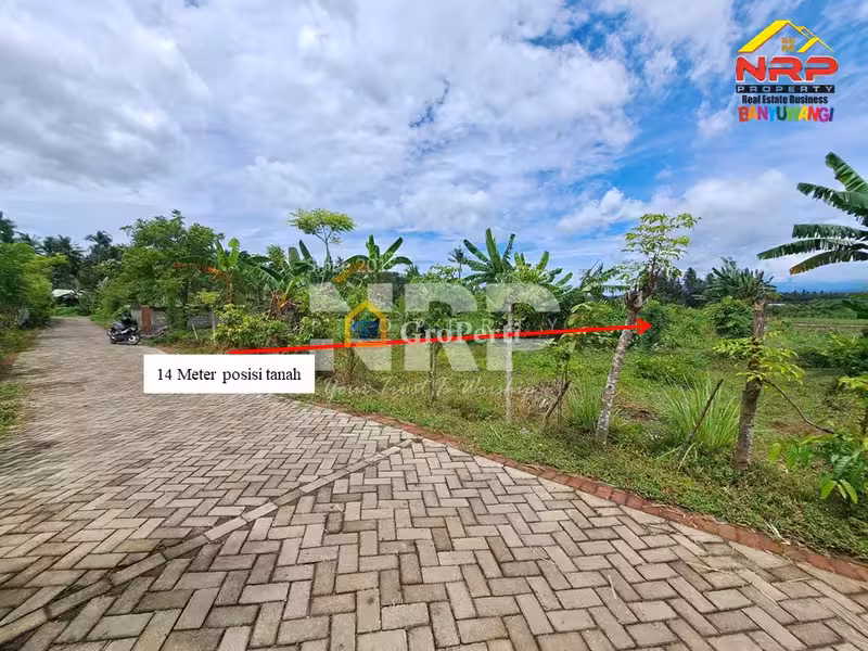 Dijual Tanah Luas 100 rb an per meter di Kalirejo - Banyuwangi Kota - 3