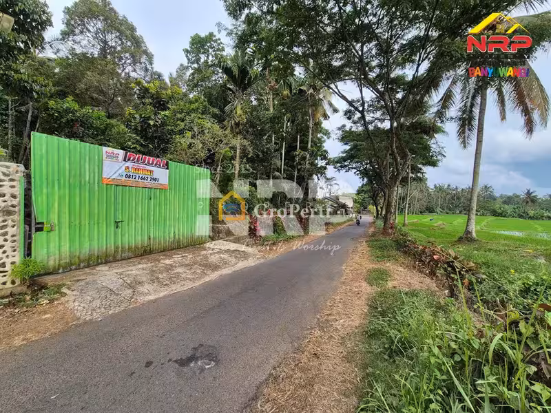 Dijual Villa Dan Kebun Luas di Jelun - Licin Banyuwangi - 5