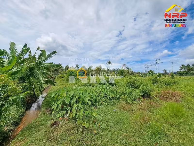 Dijual Tanah Luas 100 rb an per meter di Kalirejo - Banyuwangi Kota - 4