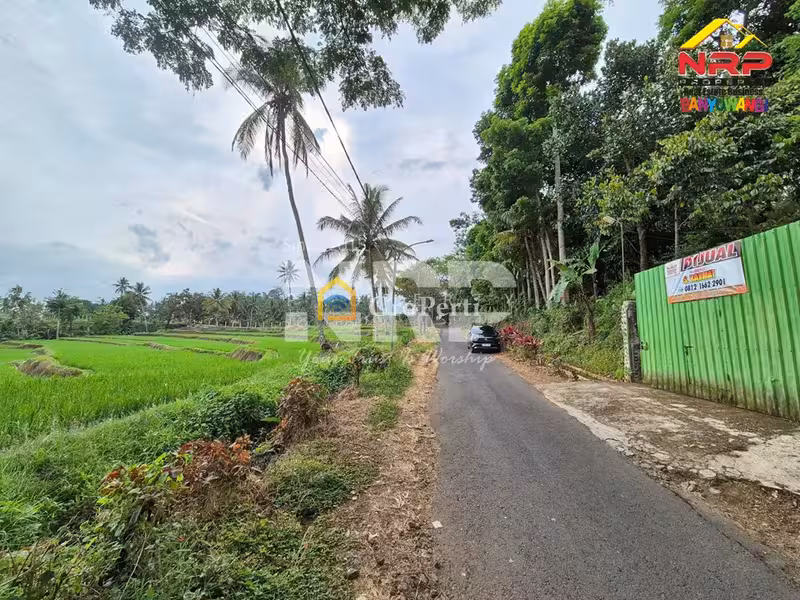 Dijual Villa Dan Kebun Luas di Jelun - Licin Banyuwangi - 3