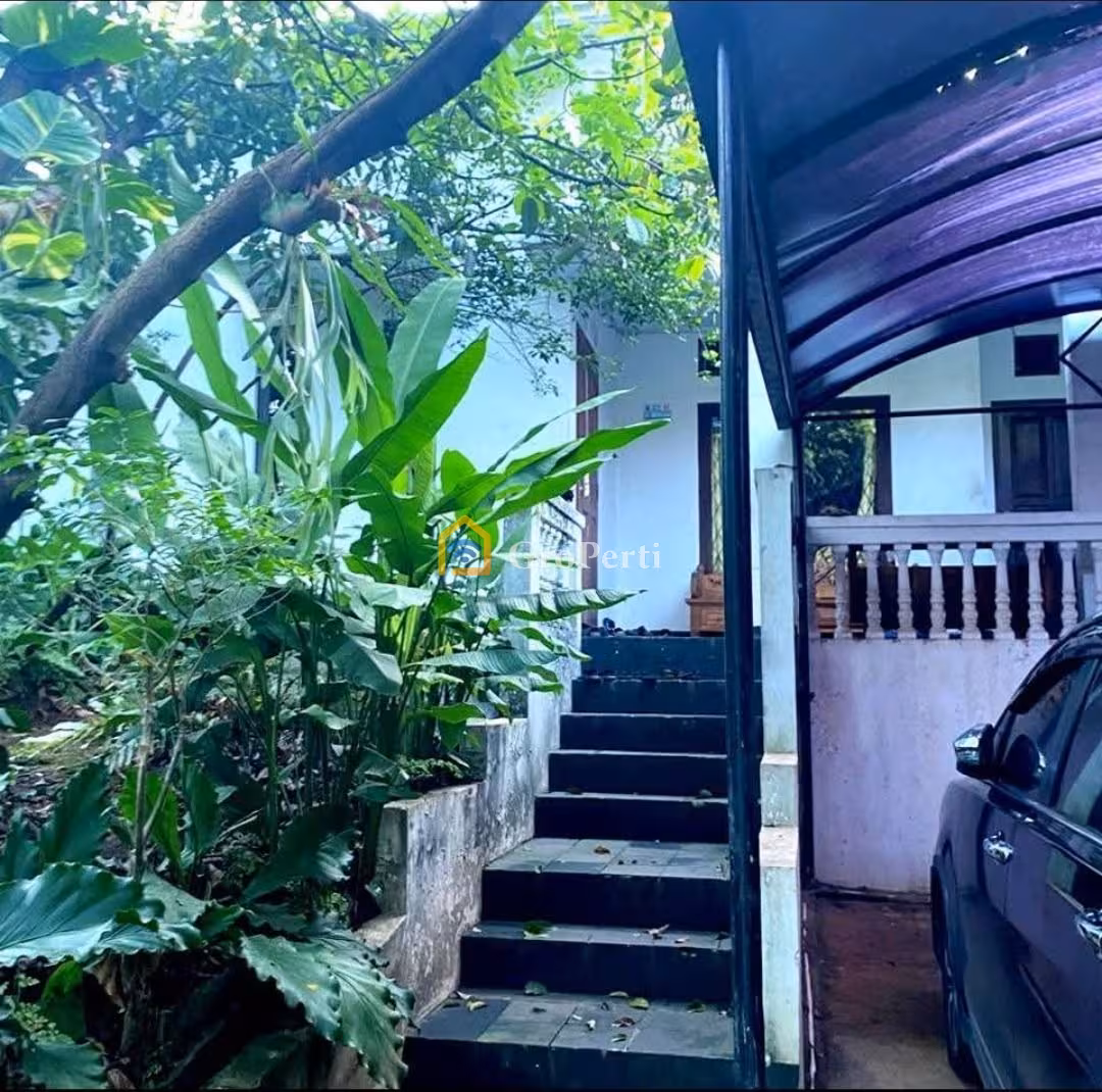 Rumah Kebun Luas di Srengseng Sawah Jagakarsa – 7 Menit ke Kampus UI & Tol - 4