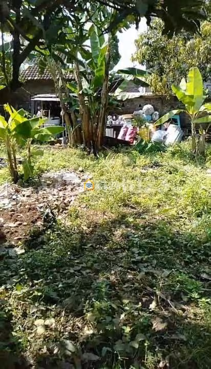 Dijual Tanah Tembalang Bulusan Utara Dekat Undip Tembalang - 3